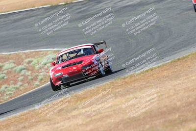 media/May-06-2023-Lucky Dog Racing (Sat) [[8f2256f436]]/Turn 2 10a/